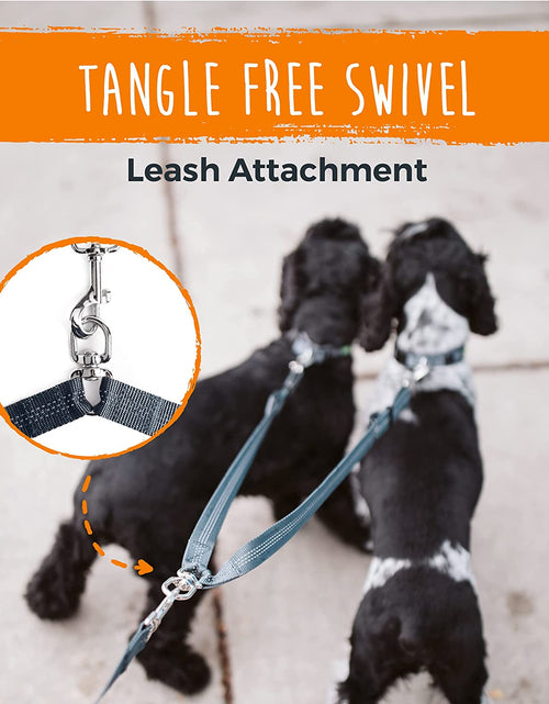 Load image into Gallery viewer, Double Dog Leash | Dual Dog Leash, Two Dog Leash, Multiple Dog Leash for 2 Dogs, Double Leash for Dogs, Leash Splitter for Large and Small Dogs, 2 Dog Leash, Double Clip Dog Leash Coupler
