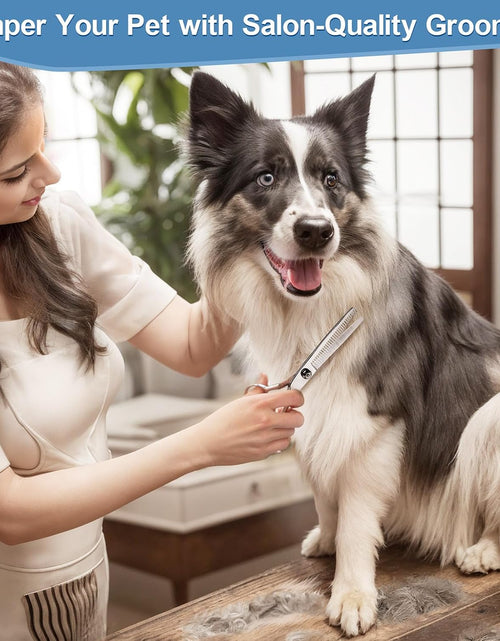 Load image into Gallery viewer, Professional 6 in 1 Dog Grooming Scissors 4CR Stainless Steel with Safety round Tip, Heavy Duty Titanium Coated Pet Grooming Scissor for Dogs, Cats and Other Animals
