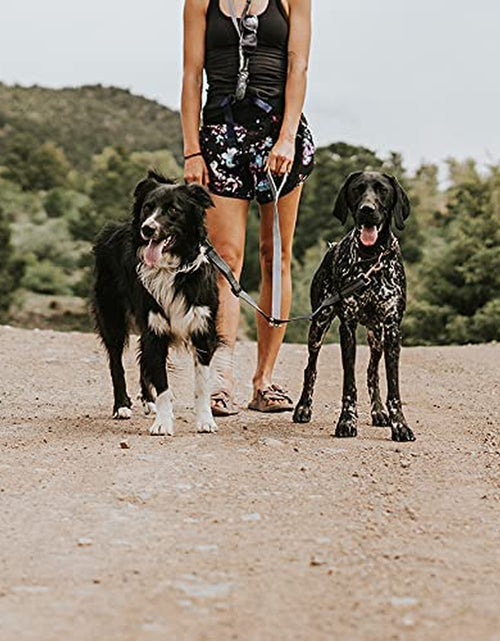 Load image into Gallery viewer, Double Dog Leash | Dual Dog Leash, Two Dog Leash, Multiple Dog Leash for 2 Dogs, Double Leash for Dogs, Leash Splitter for Large and Small Dogs, 2 Dog Leash, Double Clip Dog Leash Coupler
