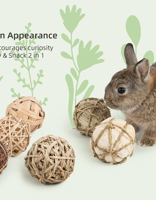 Load image into Gallery viewer, Small Animals Play &amp; Activity Balls Rolling Chew Toys for Rabbits Guinea Pigs Chinchilla
