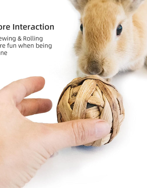 Load image into Gallery viewer, Small Animals Play &amp; Activity Balls Rolling Chew Toys for Rabbits Guinea Pigs Chinchilla
