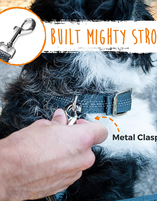 Load image into Gallery viewer, Double Dog Leash | Dual Dog Leash, Two Dog Leash, Multiple Dog Leash for 2 Dogs, Double Leash for Dogs, Leash Splitter for Large and Small Dogs, 2 Dog Leash, Double Clip Dog Leash Coupler
