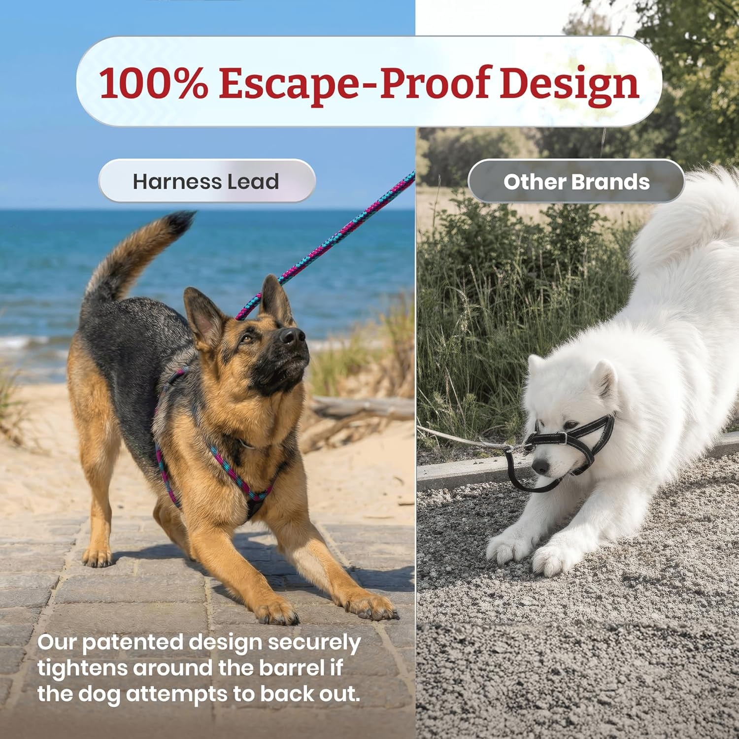 No Pull Dog Harness and Leash Set, anti Pull Dog Harness for All Breeds and Sizes, One-Piece Cushioned Rope Design Safely Prevents Escaping and Pulling (Small/Medium, Orange/Reflective)