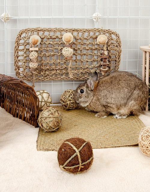 Load image into Gallery viewer, Small Animals Play &amp; Activity Balls Rolling Chew Toys for Rabbits Guinea Pigs Chinchilla
