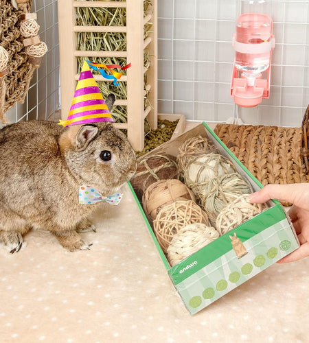 Small Animals Play & Activity Balls Rolling Chew Toys for Rabbits Guinea Pigs Chinchilla