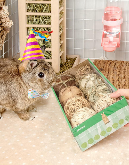 Load image into Gallery viewer, Small Animals Play &amp; Activity Balls Rolling Chew Toys for Rabbits Guinea Pigs Chinchilla
