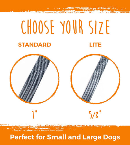 Double Dog Leash | Dual Dog Leash, Two Dog Leash, Multiple Dog Leash for 2 Dogs, Double Leash for Dogs, Leash Splitter for Large and Small Dogs, 2 Dog Leash, Double Clip Dog Leash Coupler