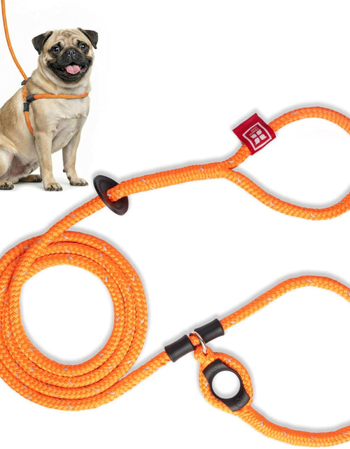 Load image into Gallery viewer, No Pull Dog Harness and Leash Set, anti Pull Dog Harness for All Breeds and Sizes, One-Piece Cushioned Rope Design Safely Prevents Escaping and Pulling (Small/Medium, Orange/Reflective)
