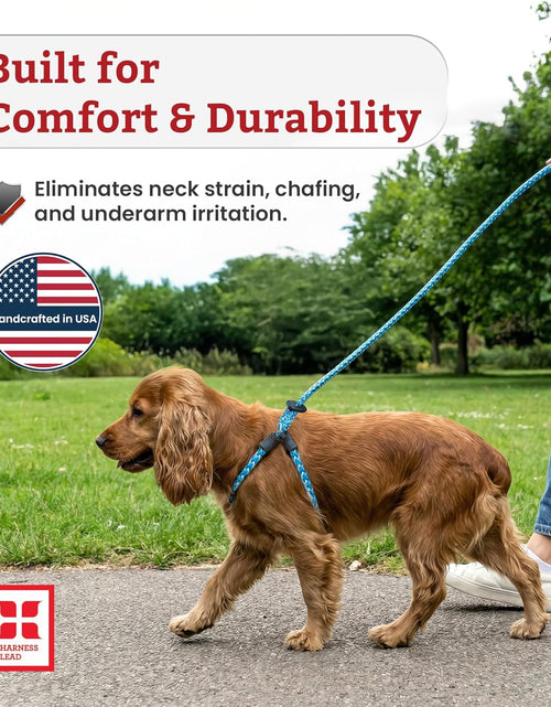 Load image into Gallery viewer, No Pull Dog Harness and Leash Set, anti Pull Dog Harness for All Breeds and Sizes, One-Piece Cushioned Rope Design Safely Prevents Escaping and Pulling (Small/Medium, Orange/Reflective)
