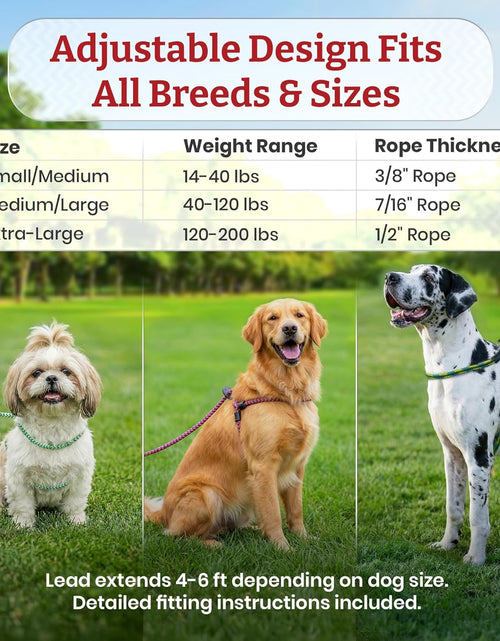 Load image into Gallery viewer, No Pull Dog Harness and Leash Set, anti Pull Dog Harness for All Breeds and Sizes, One-Piece Cushioned Rope Design Safely Prevents Escaping and Pulling (Small/Medium, Orange/Reflective)
