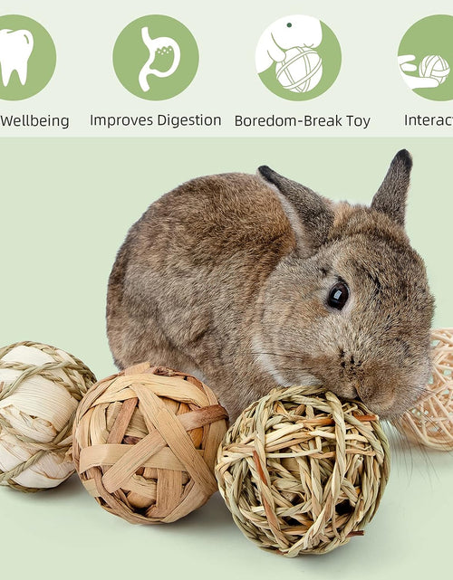 Load image into Gallery viewer, Small Animals Play &amp; Activity Balls Rolling Chew Toys for Rabbits Guinea Pigs Chinchilla
